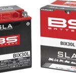 21130644 BATTERY BS BIX30L SLA