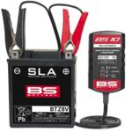 38070464 CHARGER BS10 6V/12V-1A